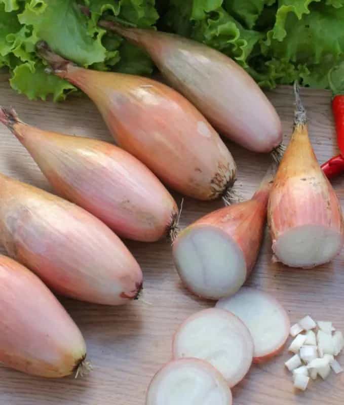 Заголовок