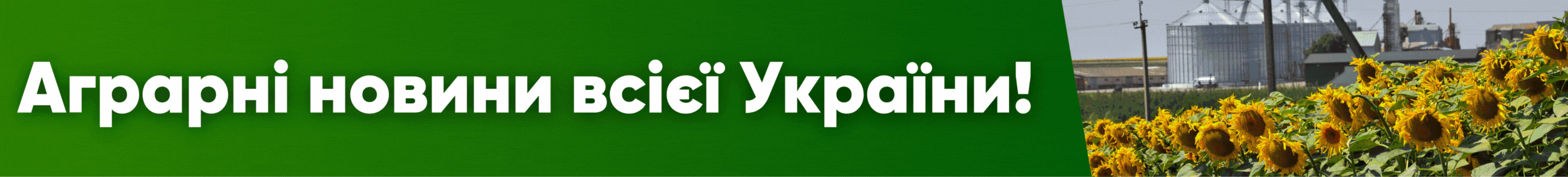 Заголовок