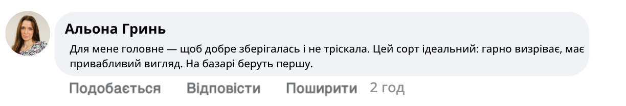 Заголовок