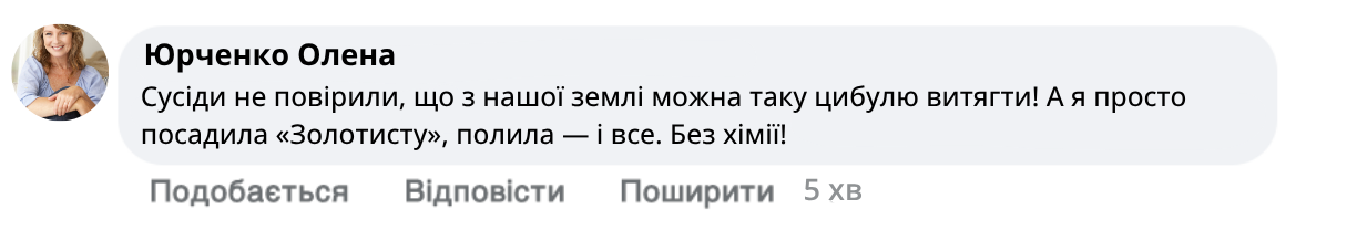 Заголовок
