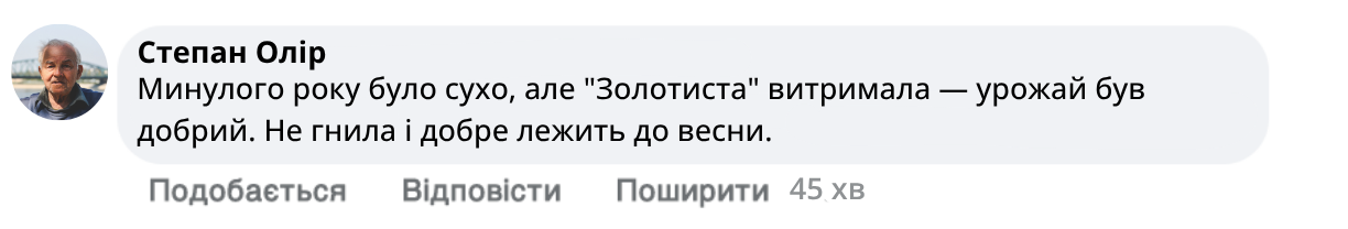 Заголовок