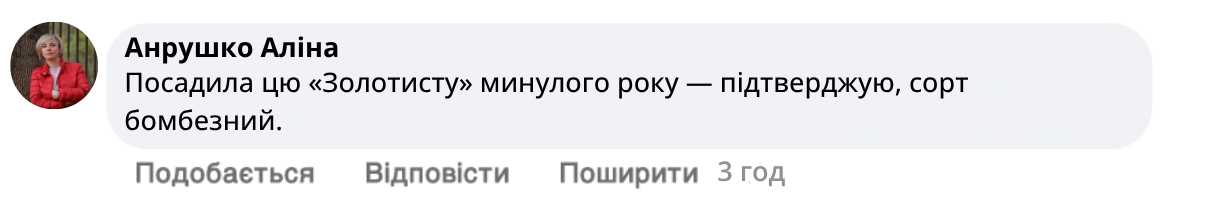 Заголовок