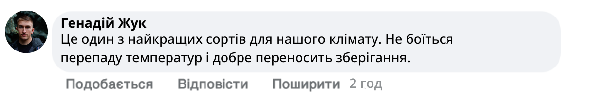 Заголовок