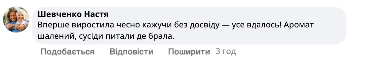 Заголовок